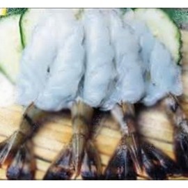 玻璃虎蝦 (20 隻)